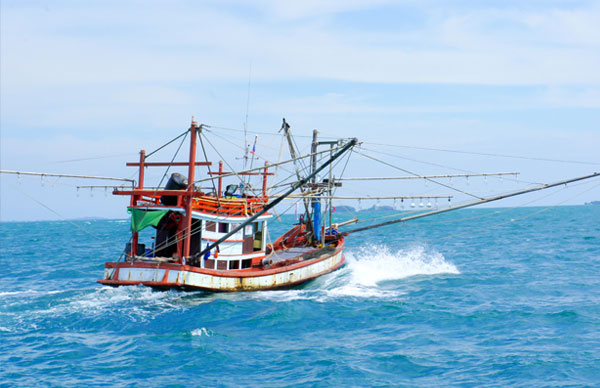 Fishing Boat Insurance
